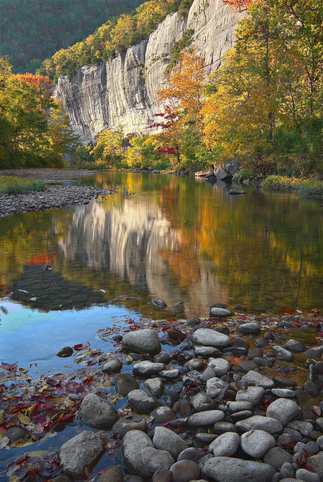 Buffalo River Hog CAFO Threatens America’s First National River